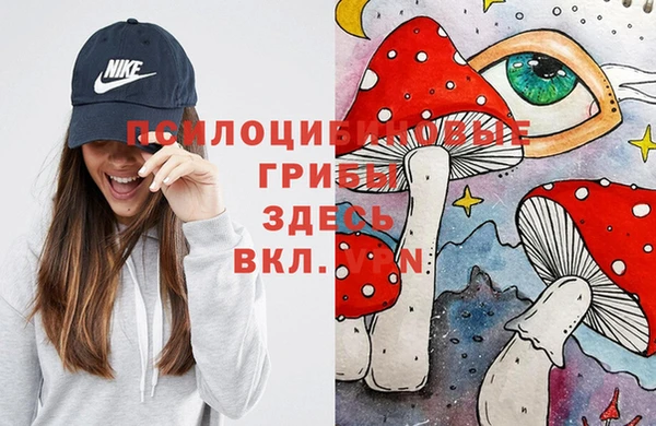 mdpv Балахна