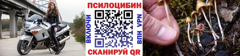 Галлюциногенные грибы прущие грибы  Новый Оскол 